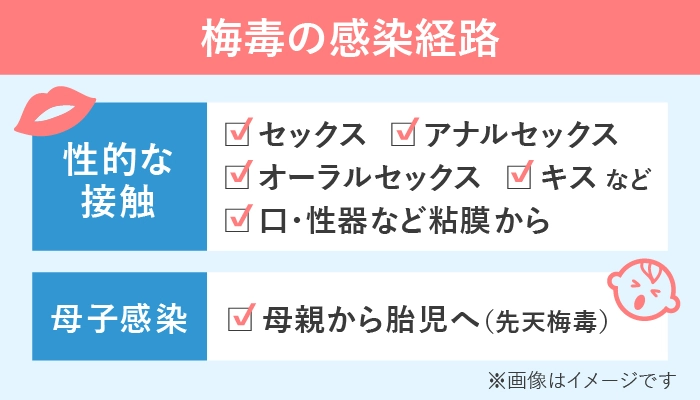 梅毒の感染経路はあらゆる性行為と母子感染