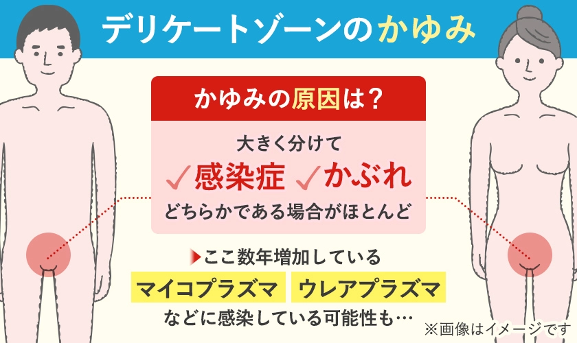 デリケートゾーンの痒みの原因は感染症かかぶれ