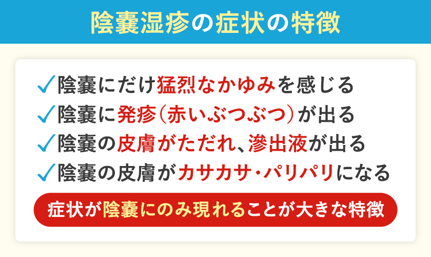 陰嚢湿疹の症状と特徴