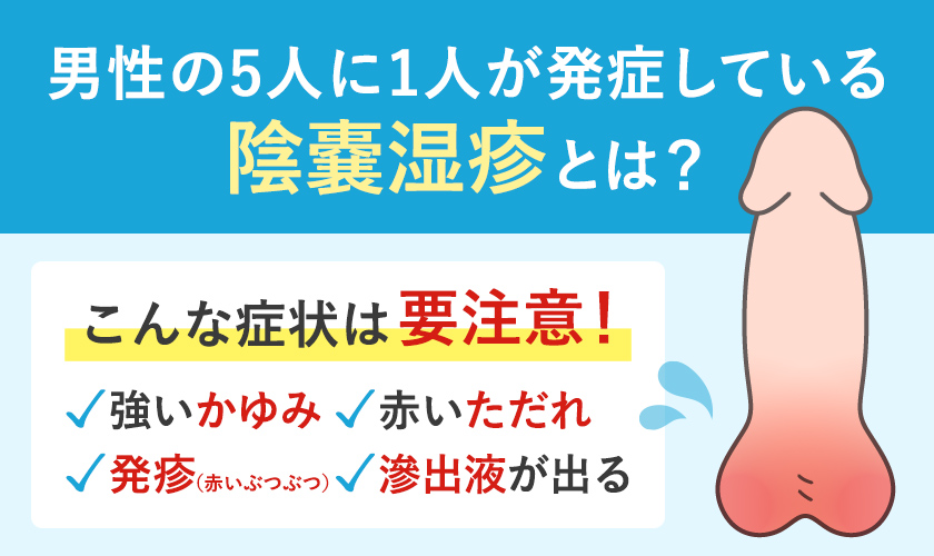 発疹と痒みを伴う陰嚢湿疹