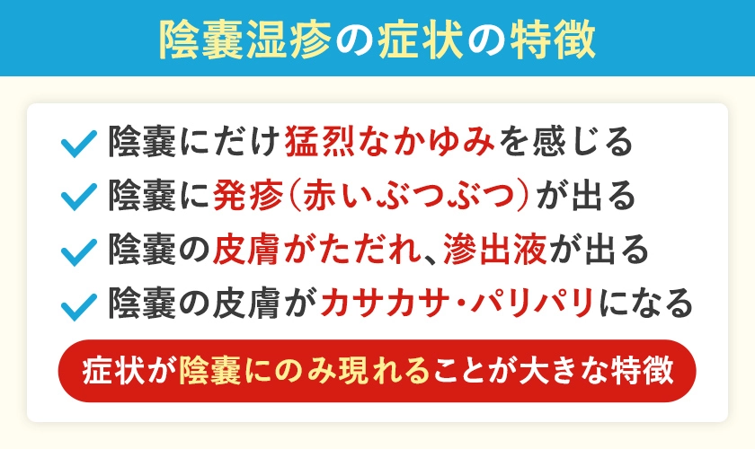 陰嚢湿疹の症状と特徴