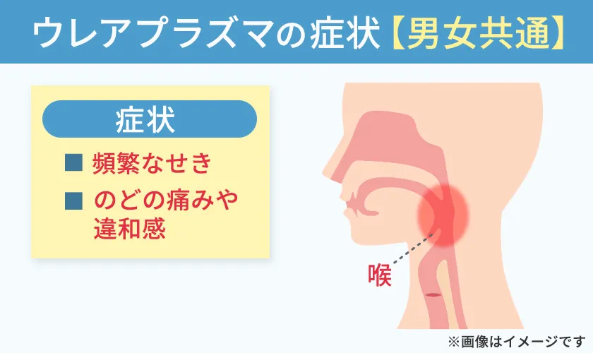 女性のウレアプラズマの症状と発生部位