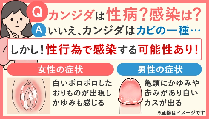 カンジダは性病でなくカビの一種