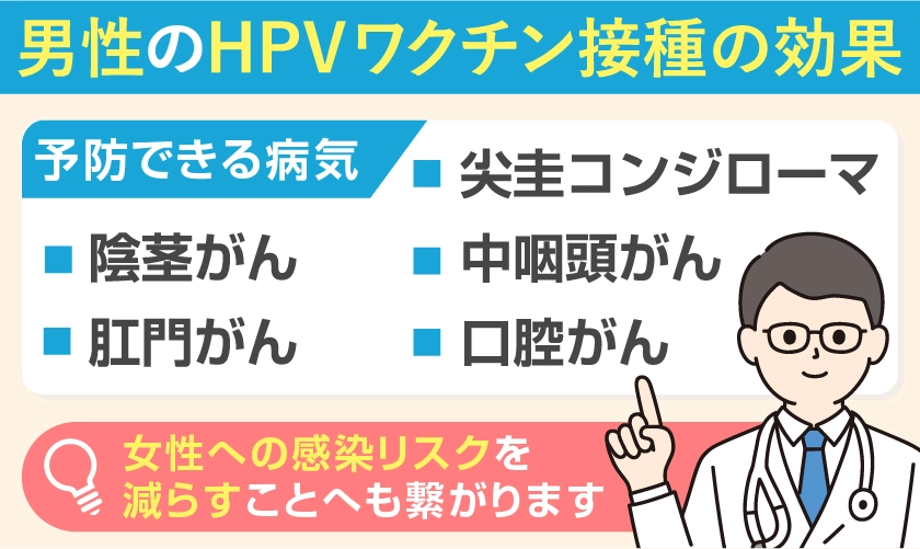 男性のHPVワクチン接種効果