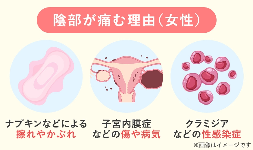 女性の陰部が痛くなる原因は擦れや圧迫、病気、感染症の3種類