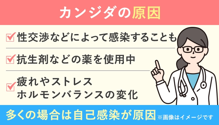 カンジダの原因