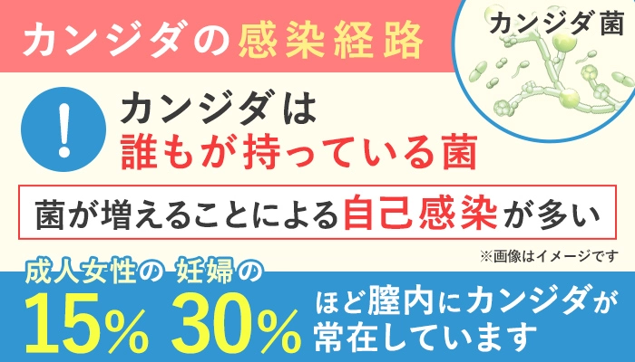 カンジダの感染経路