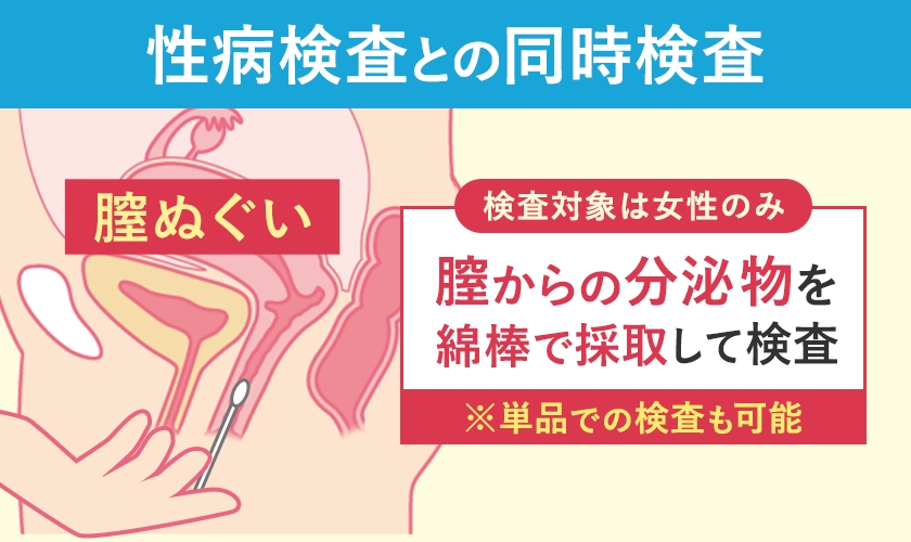 一般細菌検査の方法の解説図（女性）