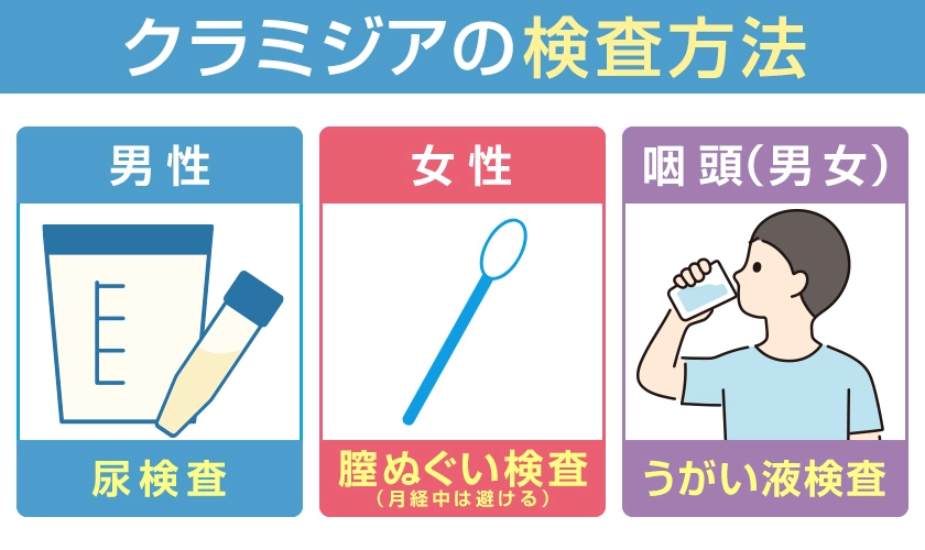 クラミジア検査の方法　男性は尿検査　女性は膣ぬぐい検査　咽頭クラミジアはうがい液検査