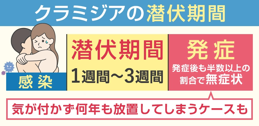 クラミジアの潜伏期間　1週間～3週間 発症後も半数以上の割合で無症状　感染に気付かず何年も放置してしまうケースも