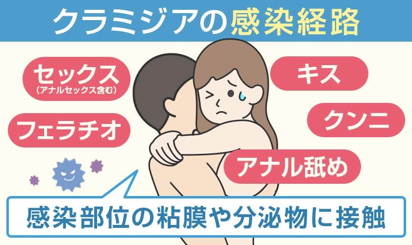 クラミジアの原因と感染経路　クラミジア感染部位の粘膜や分泌物に接触することで感染