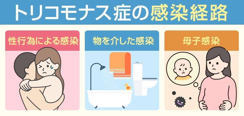 トリコモナス症の感染経路 性行為による感染・物を介した感染・母子感染