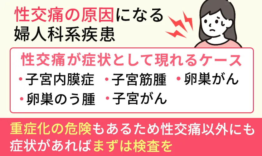 性交痛を引き起こす婦人科系疾患の一覧