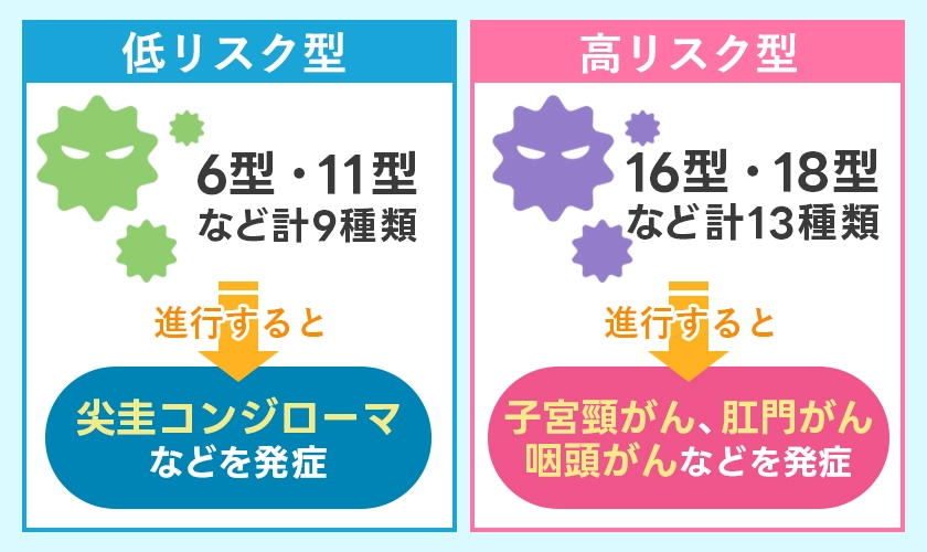 子宮頸がんや尖圭コンジローマを引き起こすHPV